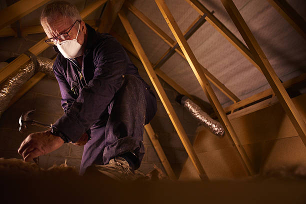 Best Insulation Maintenance and Repair in St Augustine Beach, FL